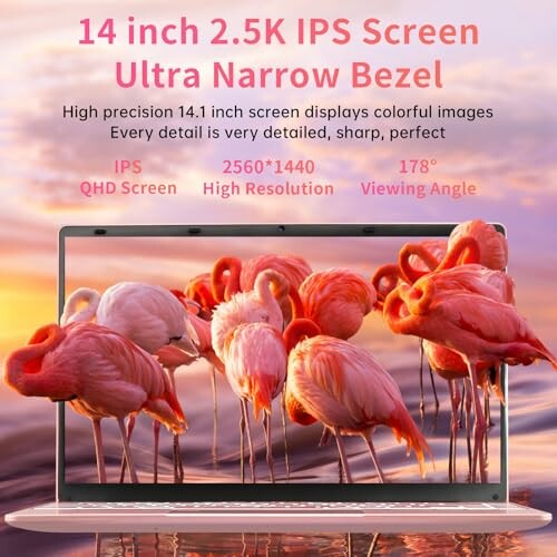 Laptop with flamingo display and 14 inch 2.5K IPS screen